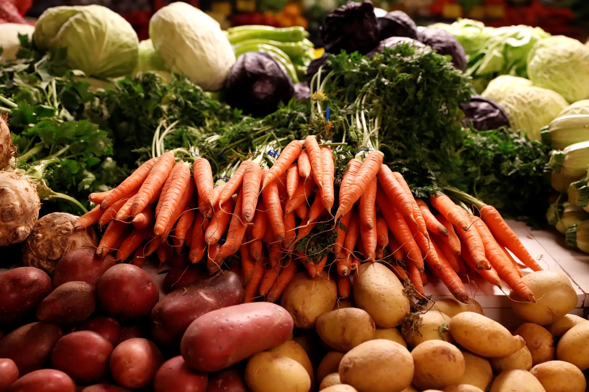 DGS quer crianças a comer mais legumes e fruta e a evitar snacks