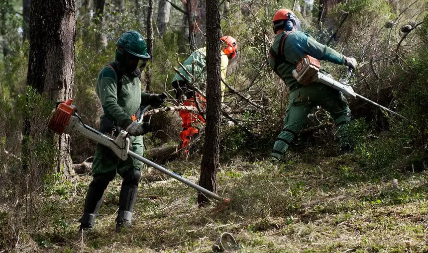 Il governo ha nuovamente ampliato la scadenza per pulire la terra