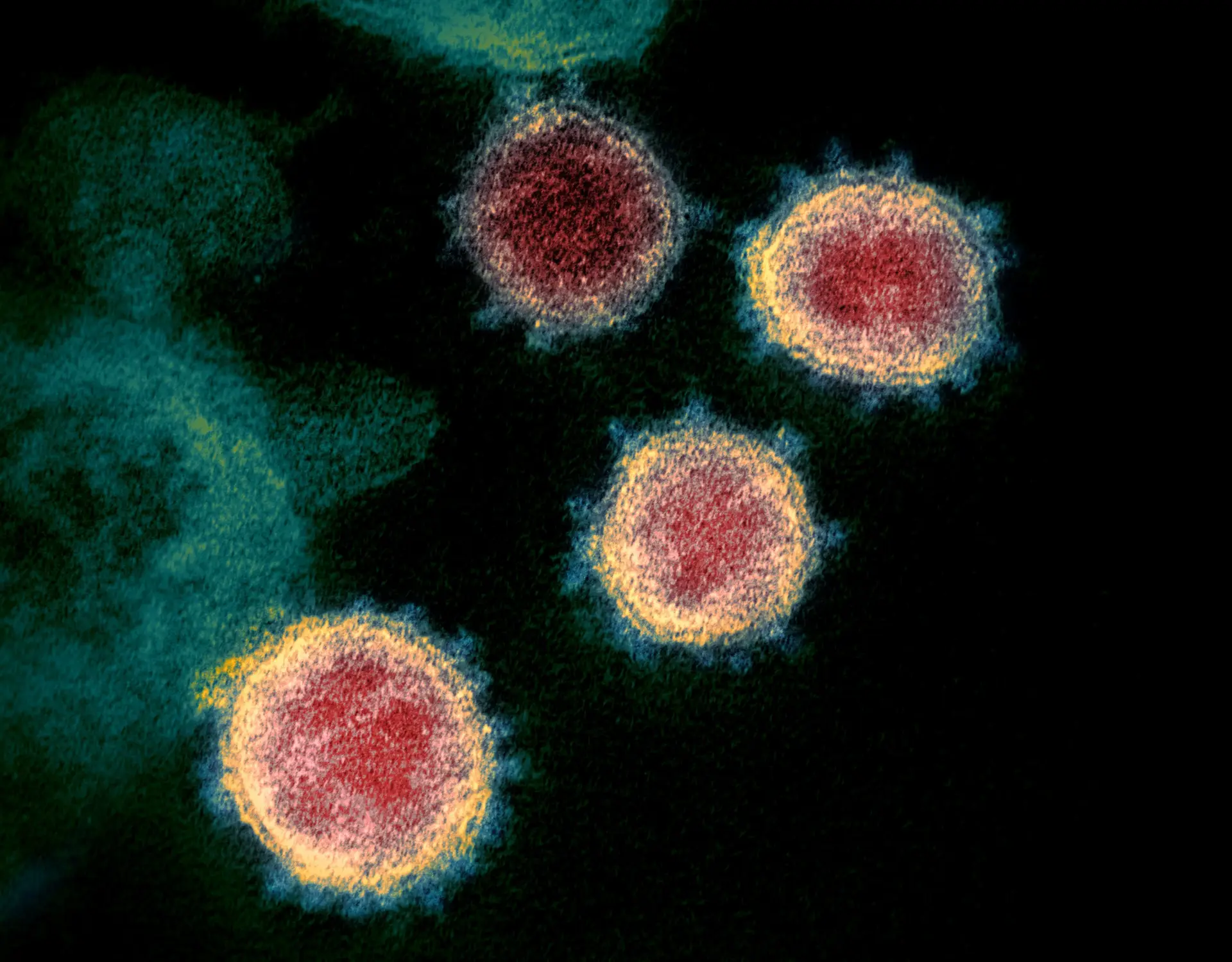 Vacina da Pfizer/BioNTech será eficaz contra a nova variante detetada no Reino Unido