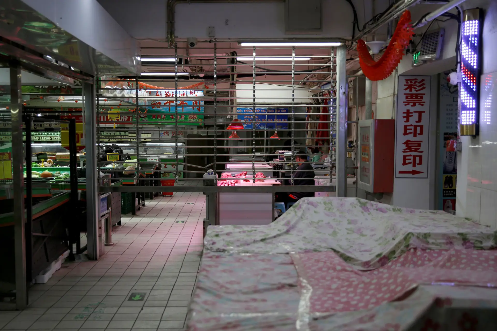 Mercados ilegais de animais deviam ser encerrados