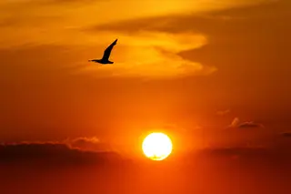 O calor do verão poderá ajudar a vencer o novo coronavírus?