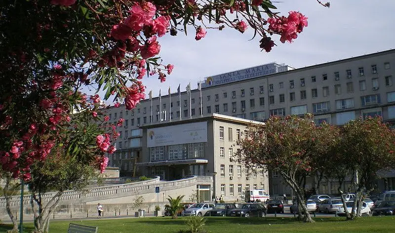 Grávidas sem Covid-19 voltam a poder ser acompanhadas durante o parto no Hospital de Santa Maria