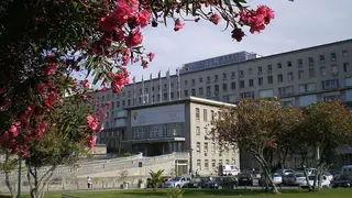 Grávidas sem Covid-19 voltam a poder ser acompanhadas durante o parto no Hospital de Santa Maria