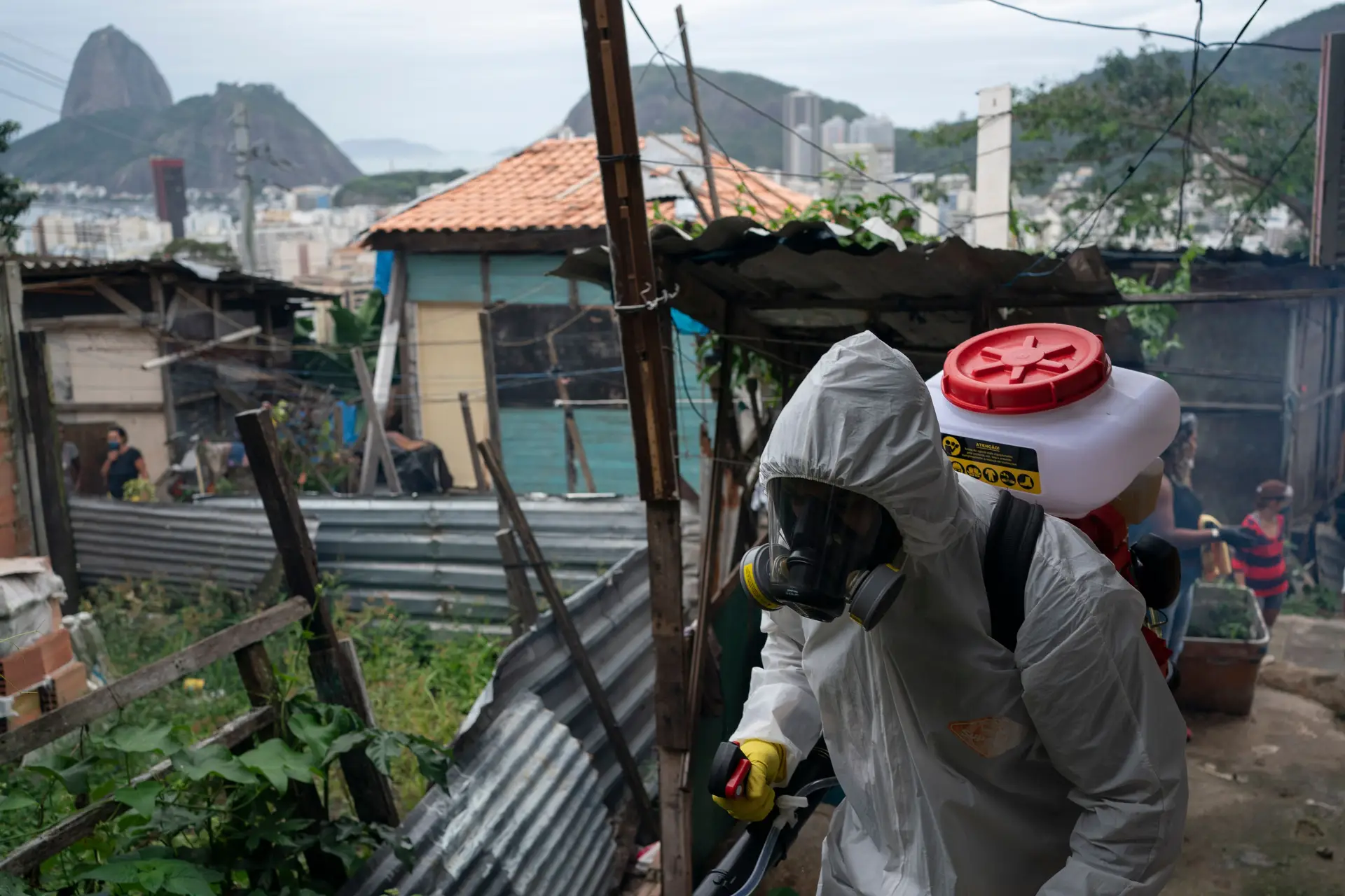 Covid-19: Morreram 204 pessoas nas últimas 24 horas no Brasil