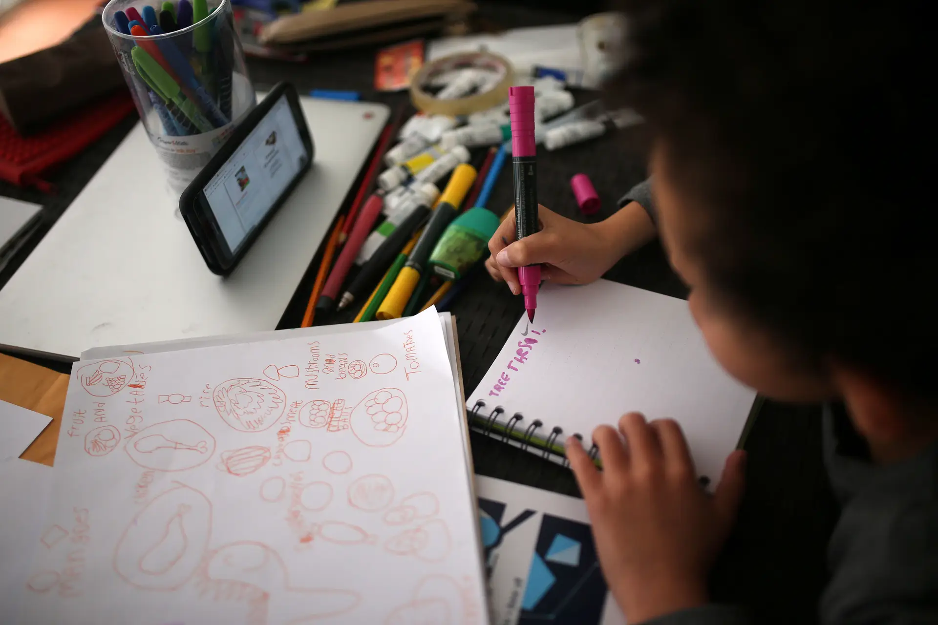 Encerramento das escolas. Pais com filhos até 12 anos já podem pedir apoio à Segurança Social