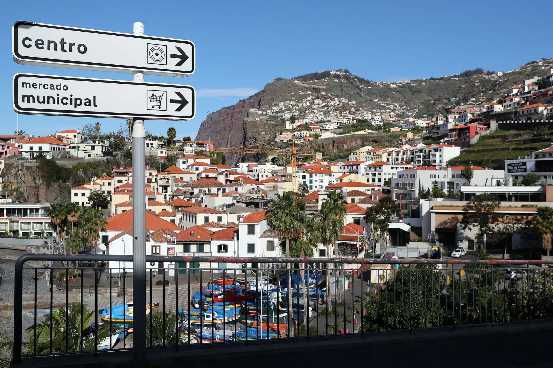OMS considera que Portugal está a agir de forma correta