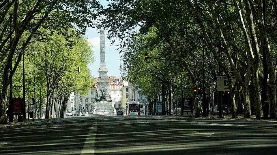 Avenida da Liberdade atinge pela 1.ª vez o valor-limite de dióxido de azoto