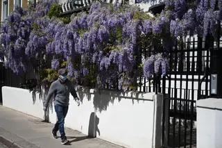 Universidade de Oxford começa a testar em humanos vacina contra a Covid-19
