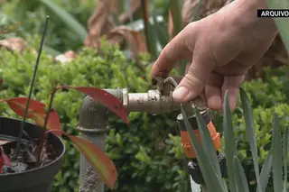 Medidas de apoio à população: os casos de Amares, Ourique e Alandroal