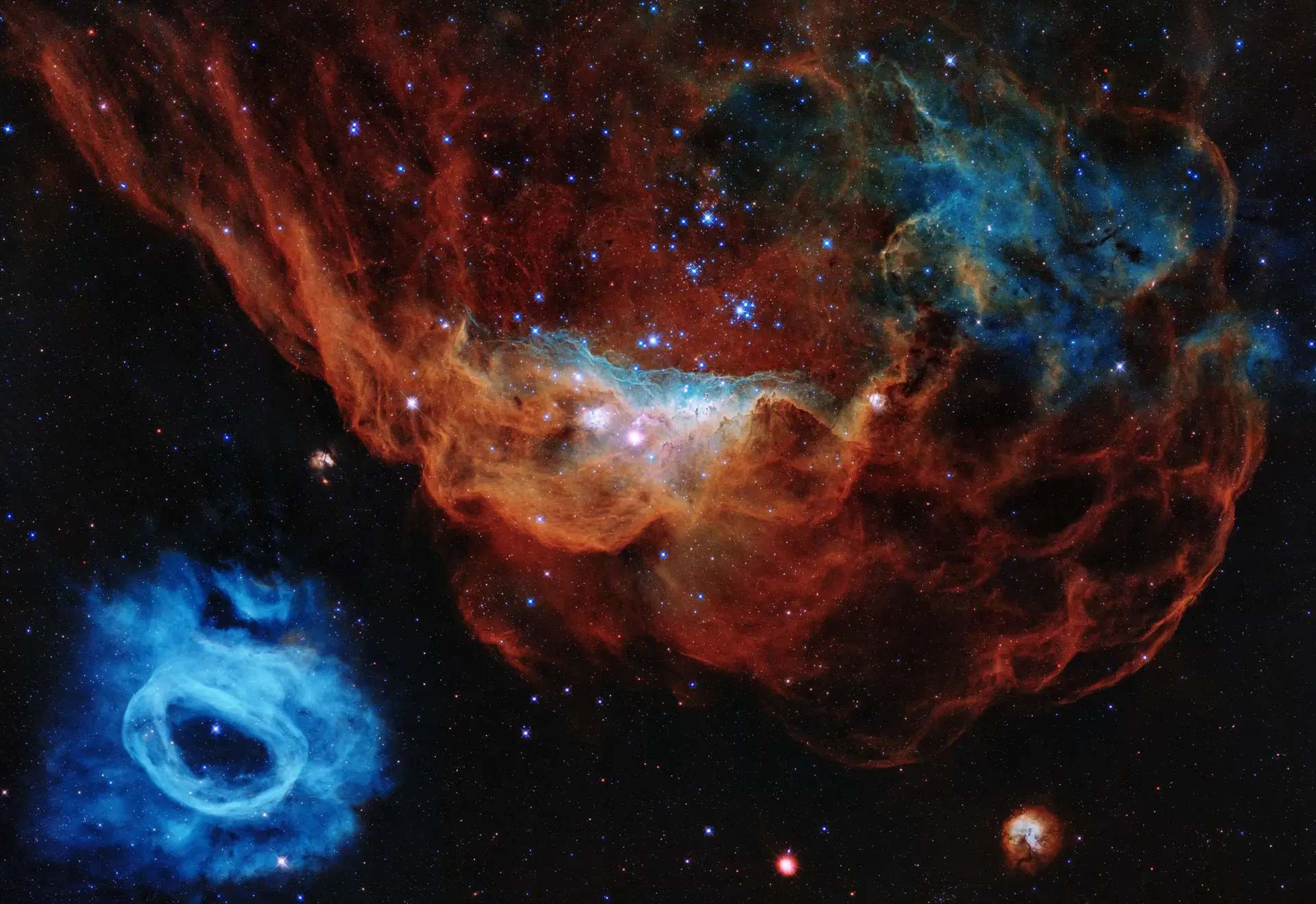 Esta imagem é um dos exemplos mais fotogénicos dos muitos berçários estelares que o Telescópio Espacial Hubble da NASA/ESA tem observado em mais 30 anos no espaço. É o retrato da nebulosa gigante NGC 2014 e da sua vizinha NGC 2020 que juntas fazem parte de uma vasta região de formação de estrelas na Grande Nuvem de Magalhães, uma galáxia satélite da Via Láctea, a aproximadamente 163.000 anos-luz de distância.