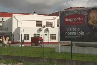 CM da Azambuja pede à CP mais carruagens para que trabalhadores da Avipronto cumpram distanciamento