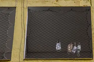 Covid-19 Brasil: Governo Federal e estados divergem sobre medidas de restrição