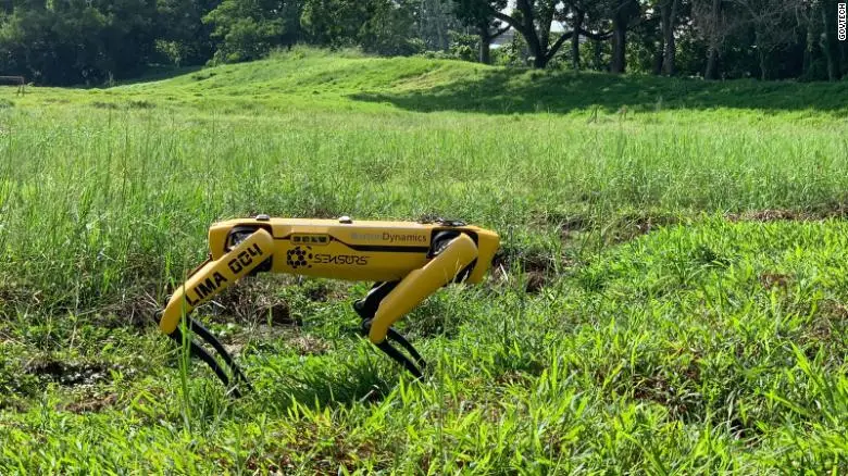 Singapura testa robô para vigiar a distância social