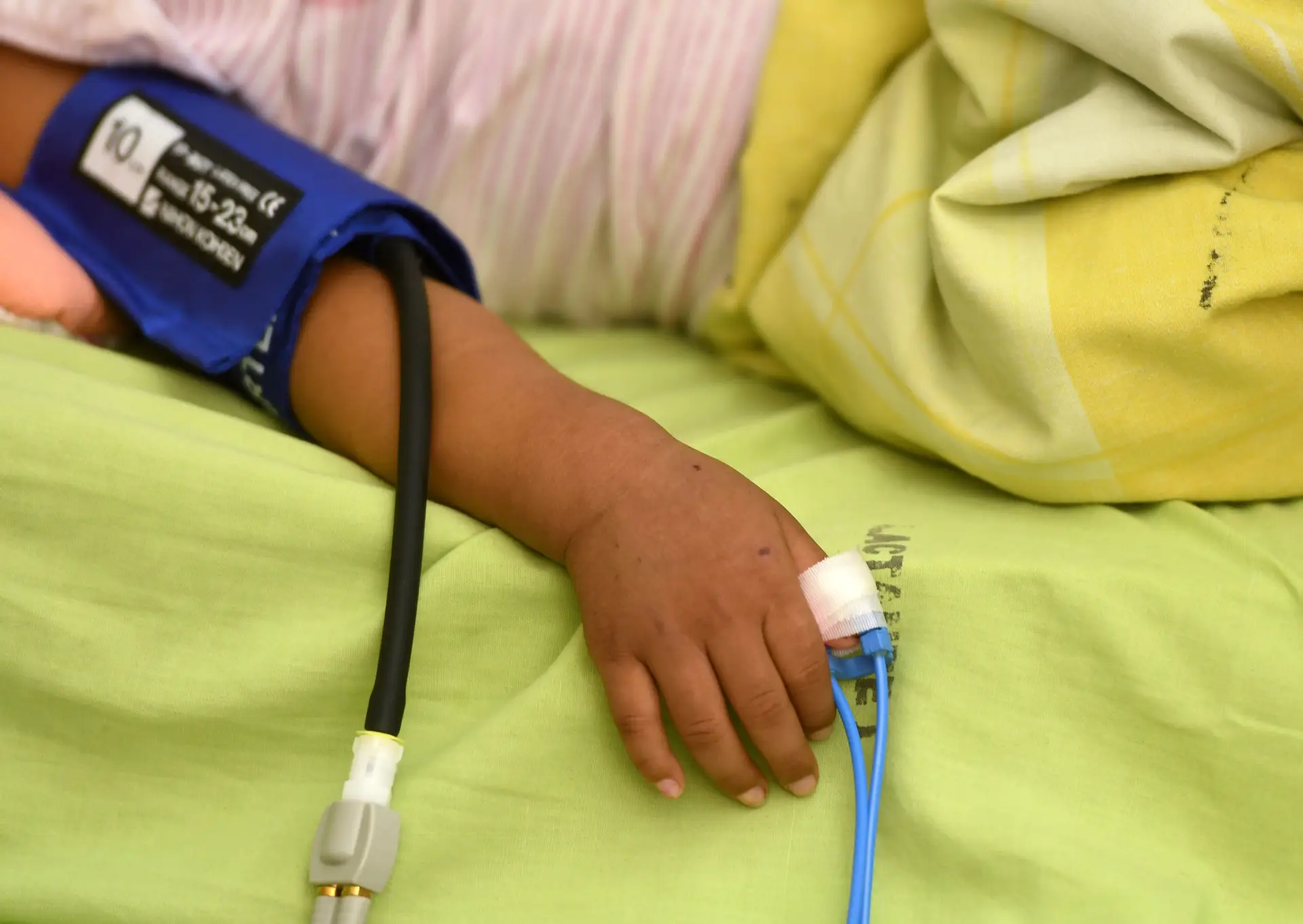 Sul da Europa com dengue, zika ou febre amarela dentro de uma década