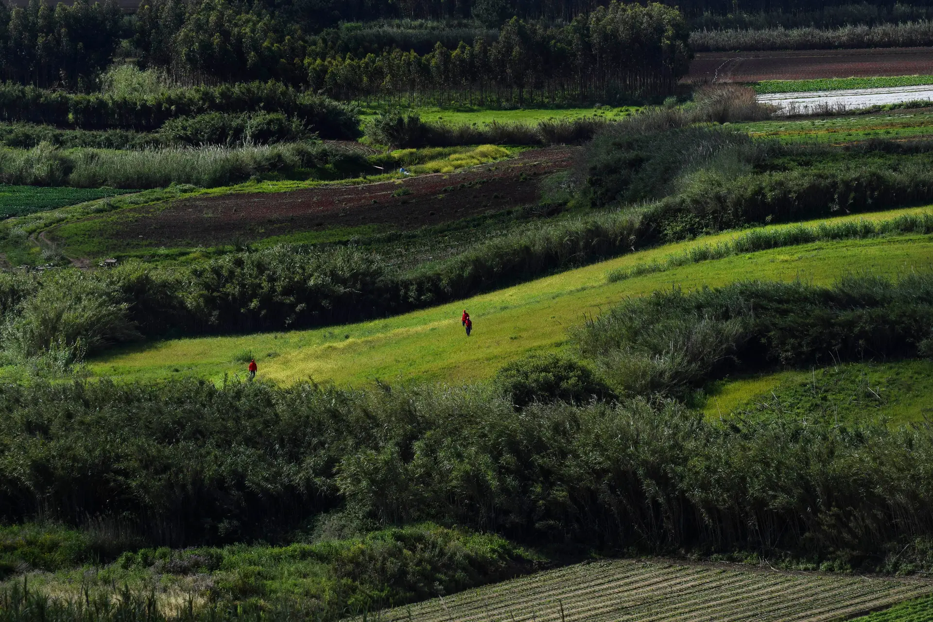 Criança desaparecida em Peniche encontrada morta; pai e madrasta detidos