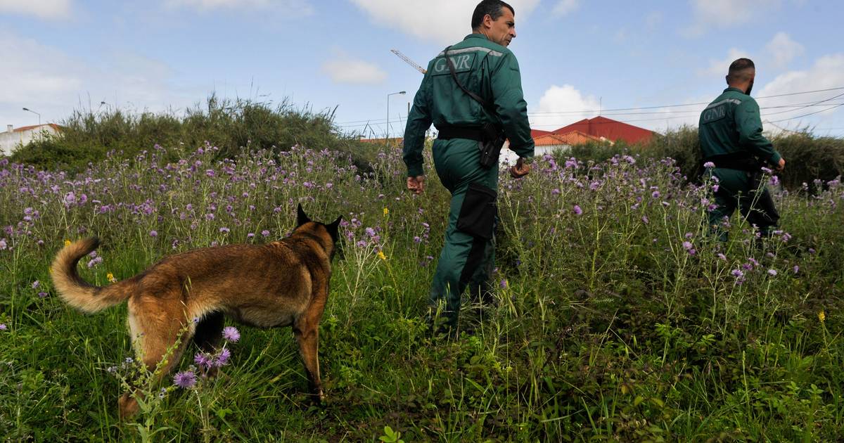 Continuam as buscas para encontrar casal de Montemor-o-Velho desaparecido há quase uma semana