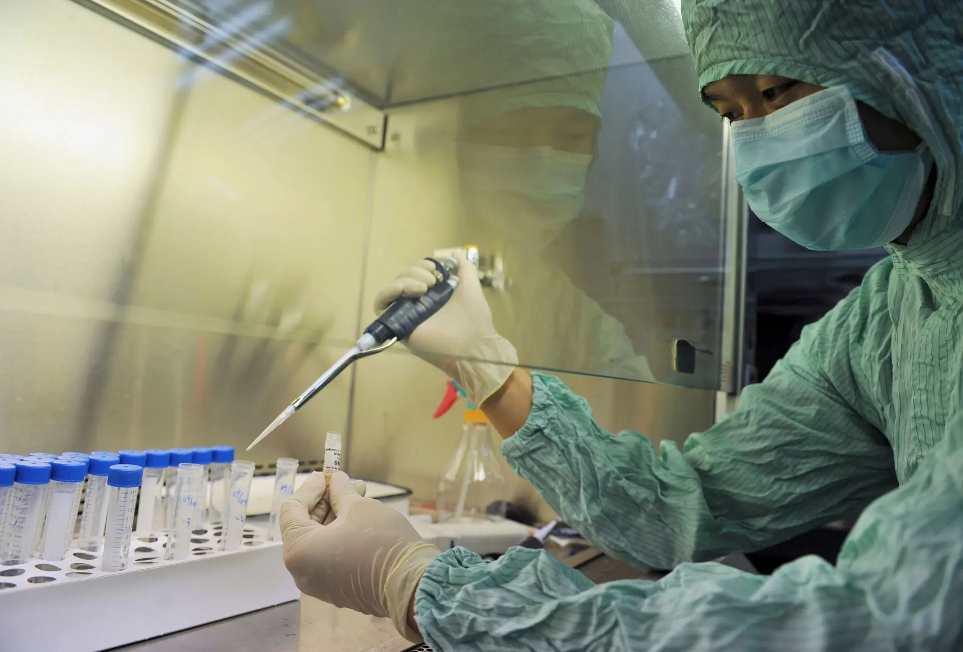 Covid-19: teoria da fuga do novo coronavírus de um laboratório chinês ganha novo impulso