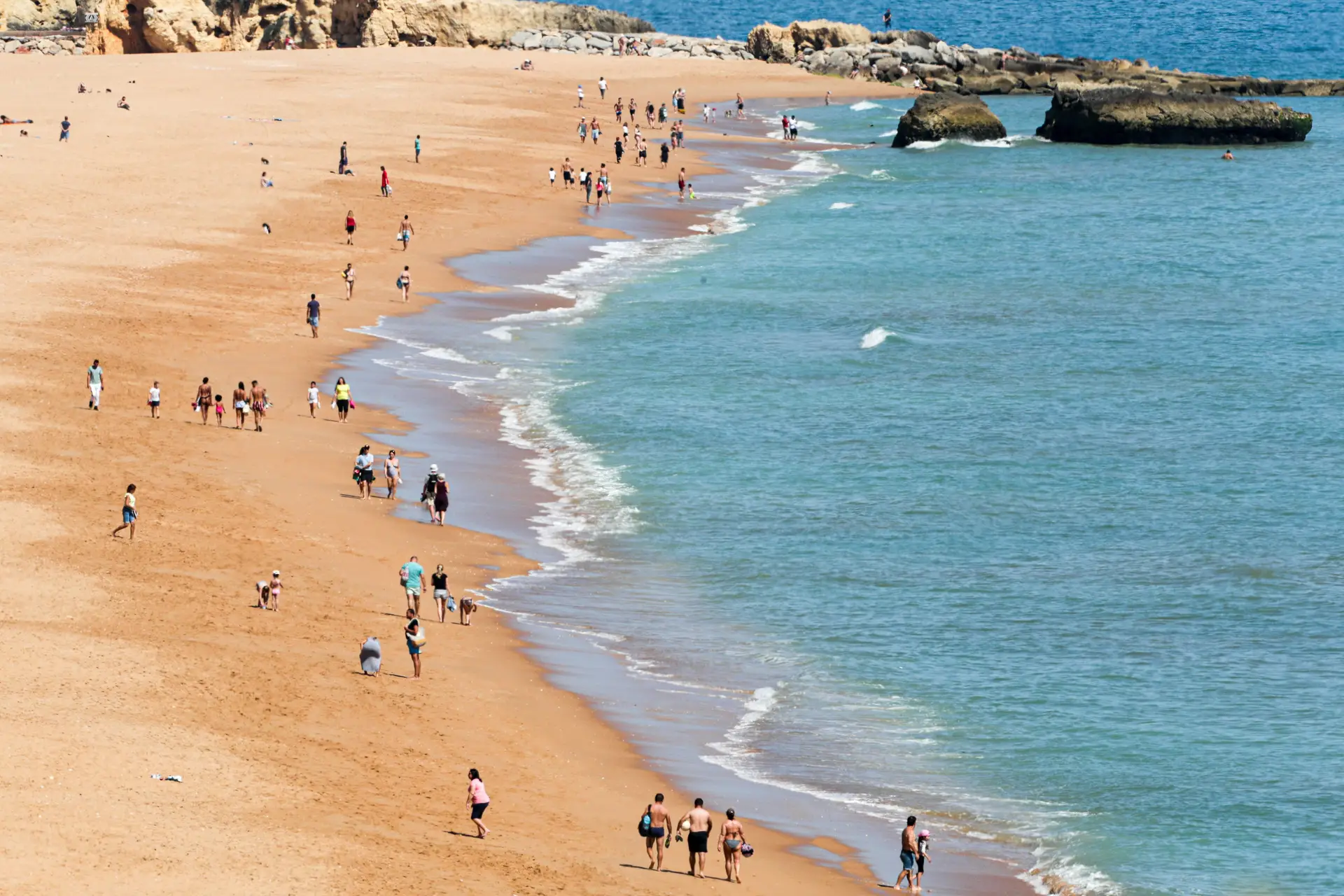 Aplicação criada por alunos do secundário com dados da lotação das praias