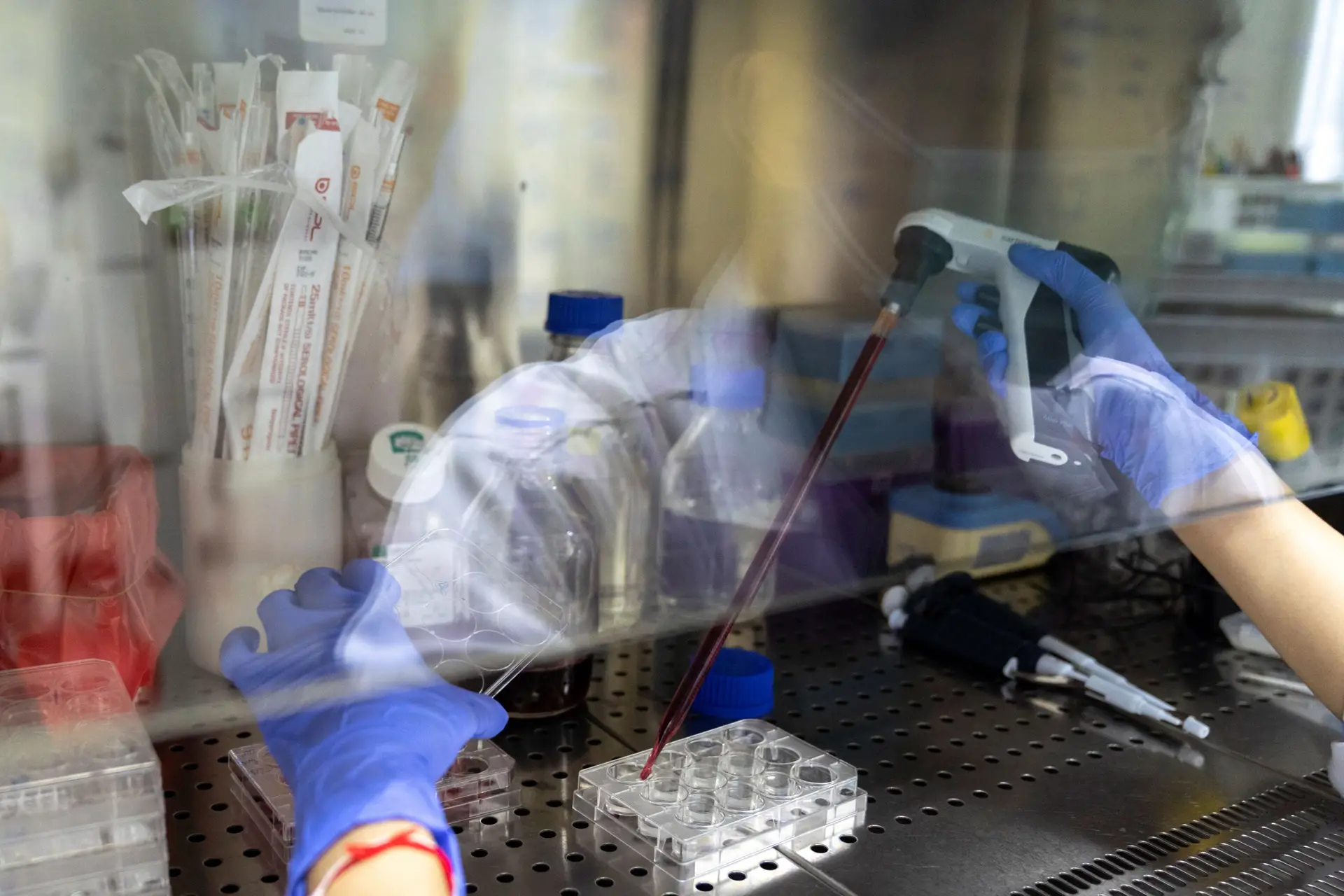 Farmacêutica Lilly lança primeiro estudo para o tratamento da Covid-19 com anticorpos