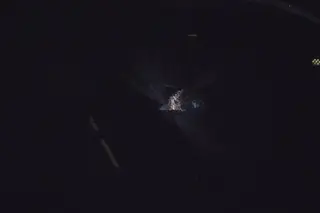 Jogadores do Benfica foram atingidos na cara