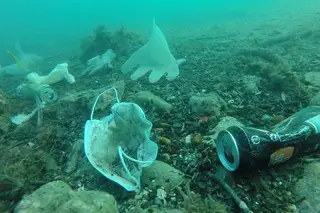 Quercus alerta para agravamento da poluição dos oceanos com a pandemia