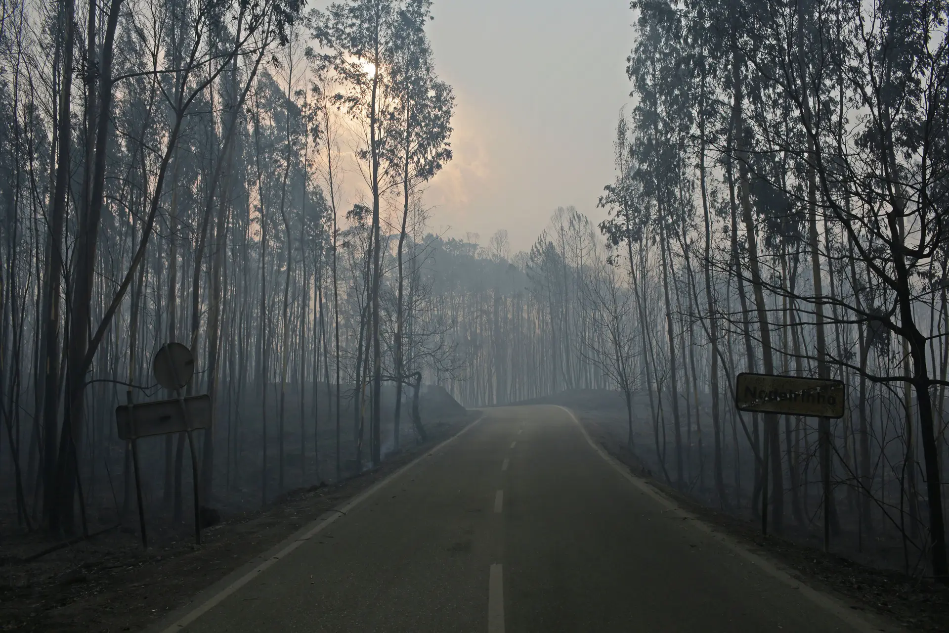 Nenhum país está preparado para fogo da magnitude de Pedrógão Grande, diz Comissão Técnica