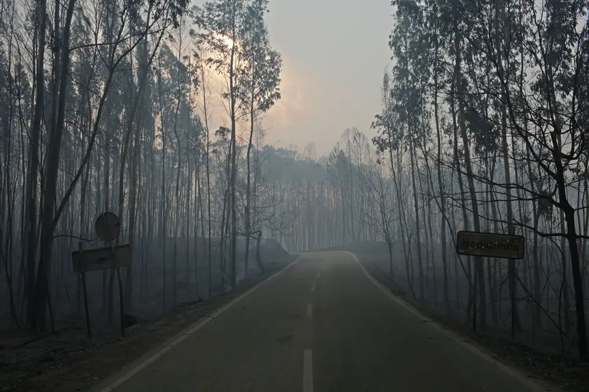 SIC Notícias | Pedrógão Grande. O maior incêndio em ...