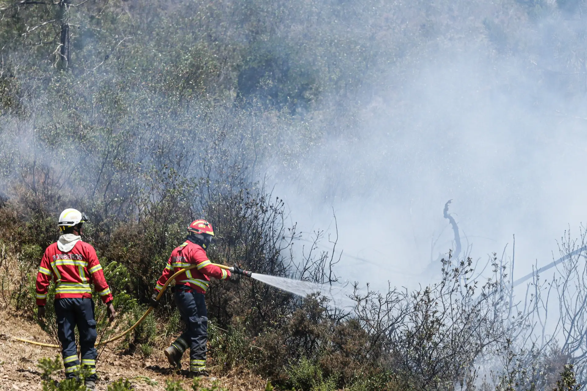 Incêndio em Almodôvar dominado, mas mantêm-se no terreno 250 operacionais