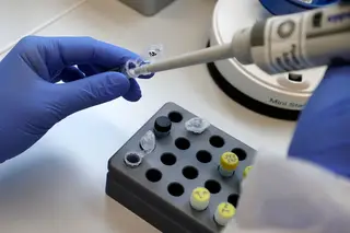 Covid-19 na Europa. Atenções centradas nos surtos locais