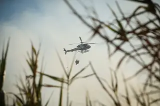 Risco de incêndio aumenta a partir desta quinta-feira para níveis "máximo ou muito elevados"