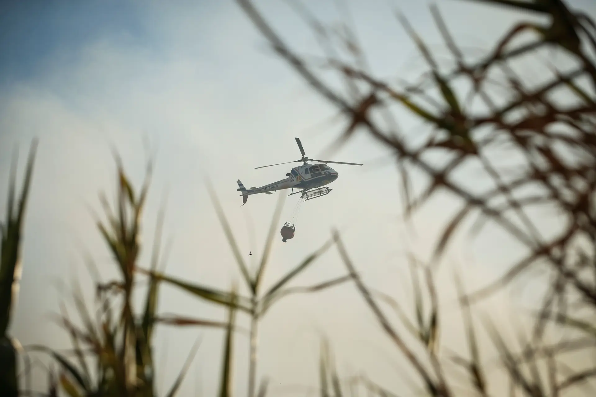 Risco de incêndio aumenta a partir desta quinta-feira para níveis "máximo ou muito elevados"