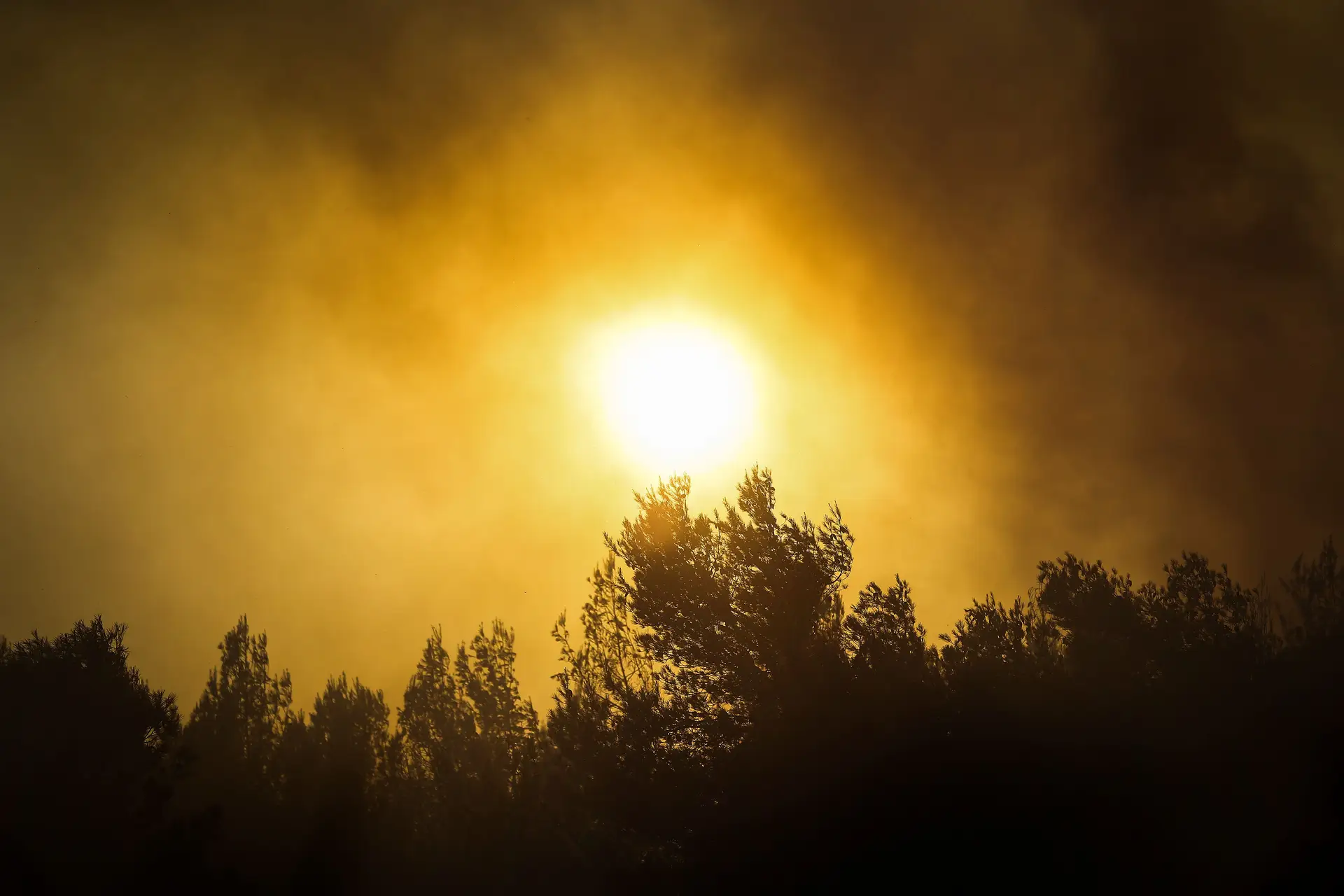 Mais de trinta concelhos de seis distritos do país com risco máximo de incêndio