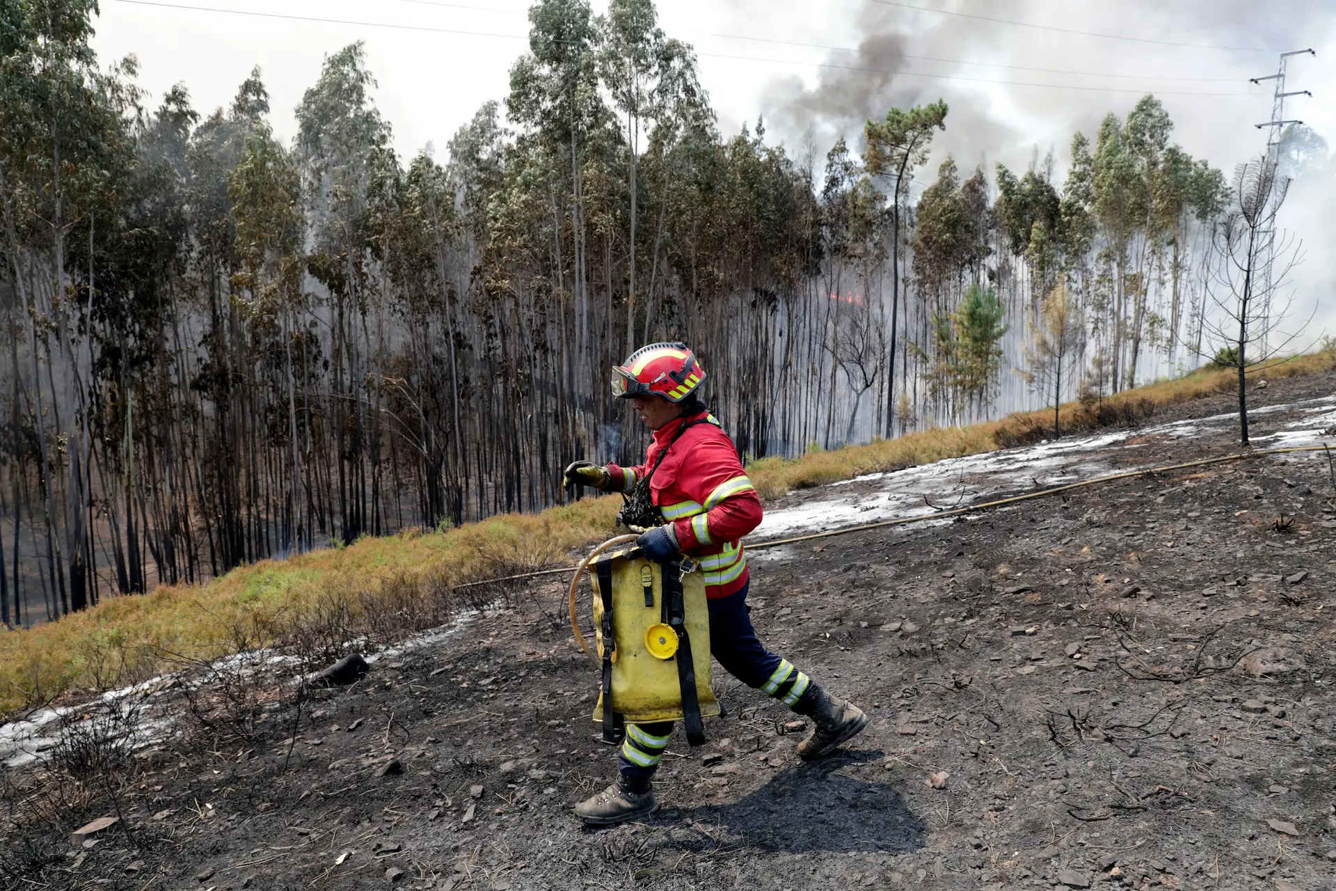 Mais de 80 concelhos em risco máximo de incêndio
