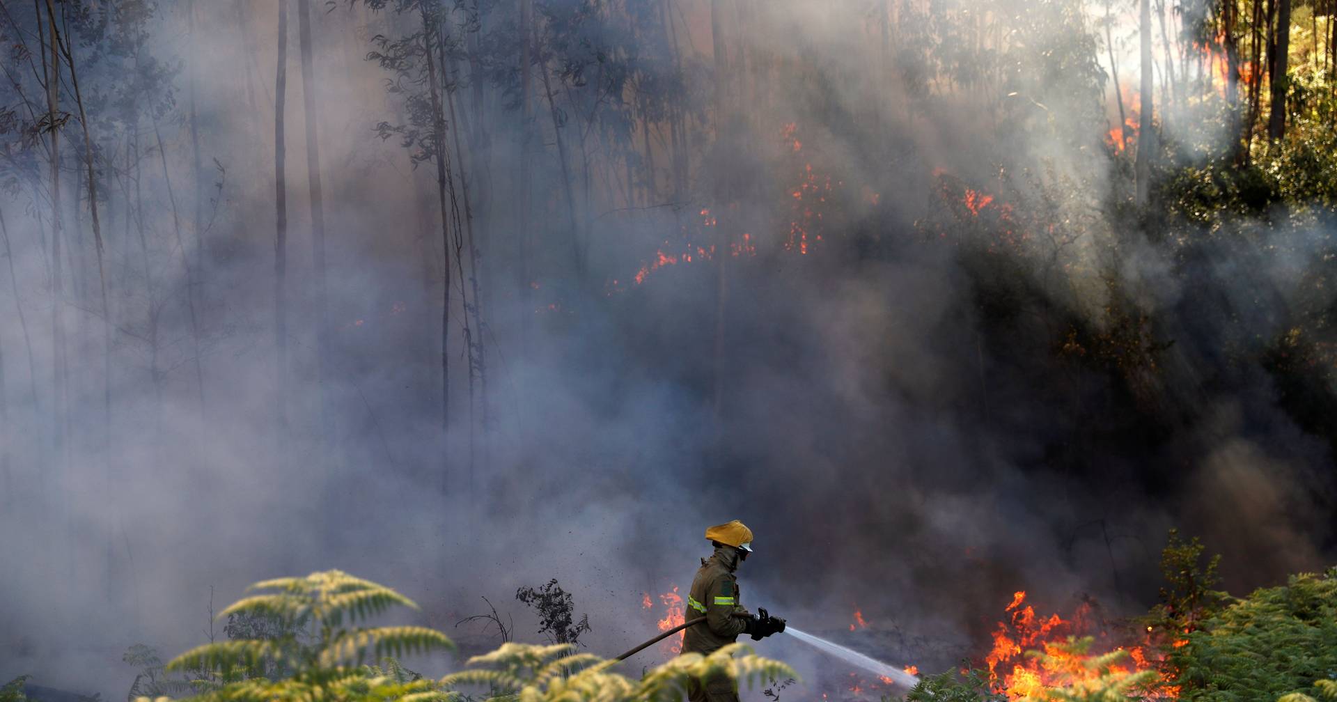 Vinte E Seis Concelhos De Cinco Distritos Em Risco Máximo De Incêndio Sic Notícias 5348