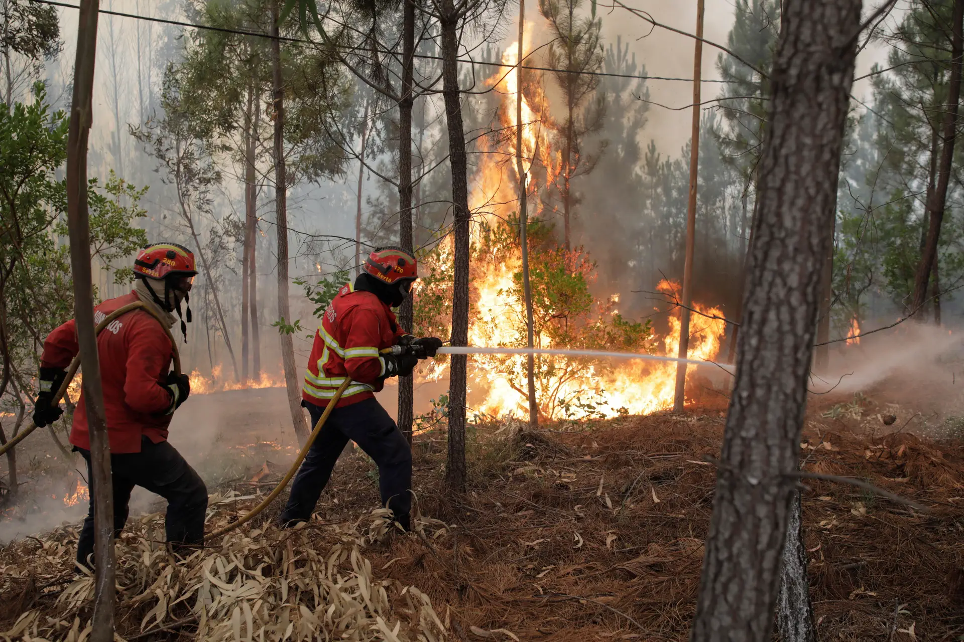 Portugal em situação de alerta devido ao risco de incêndio