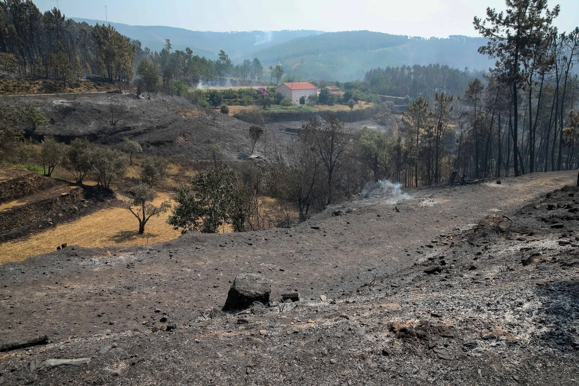 Incêndios. Proença-a-Nova decreta três dias de luto municipal pela morte de bombeiro