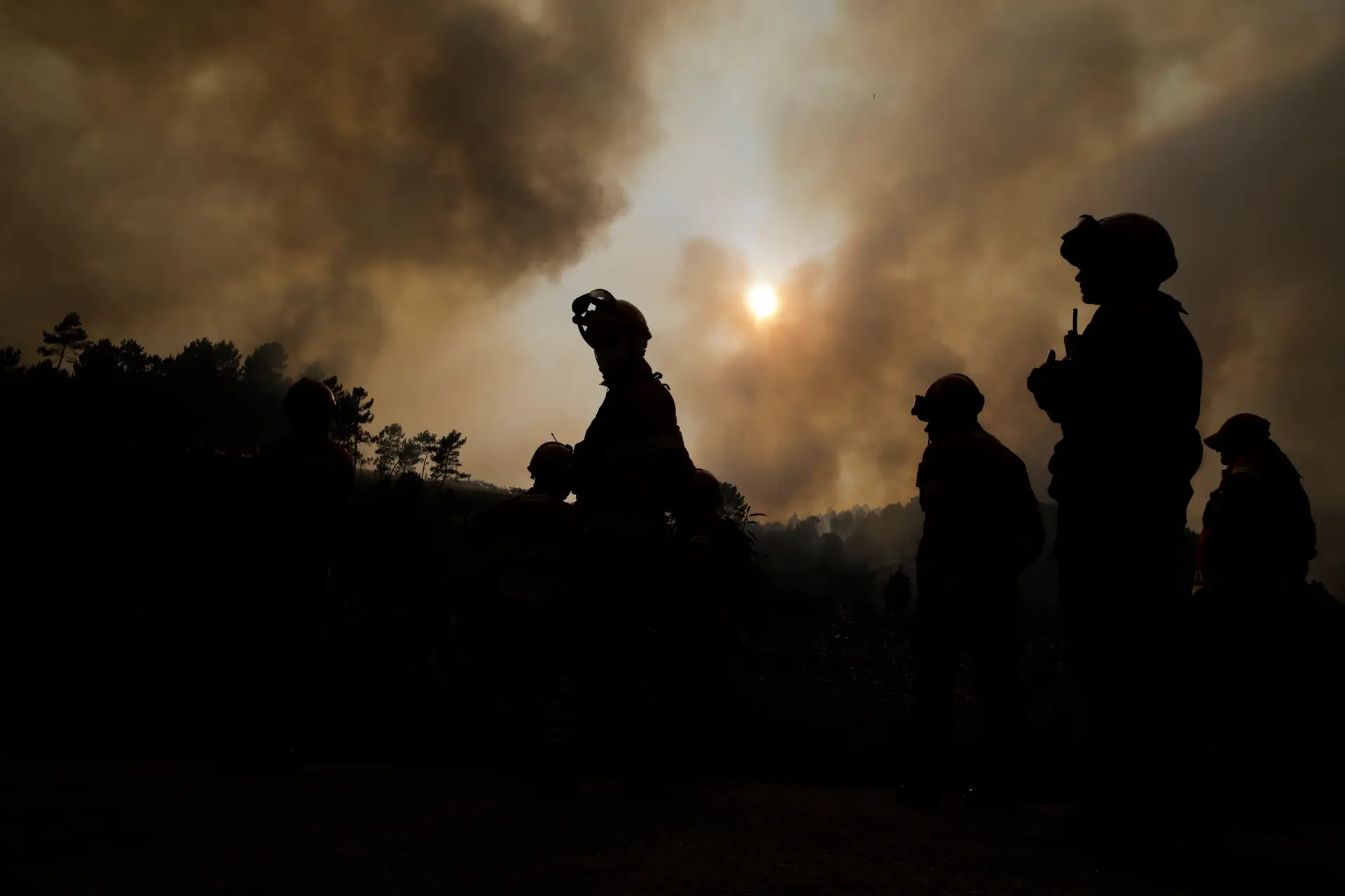 Cinco bombeiros morreram este ano no combate às chamas