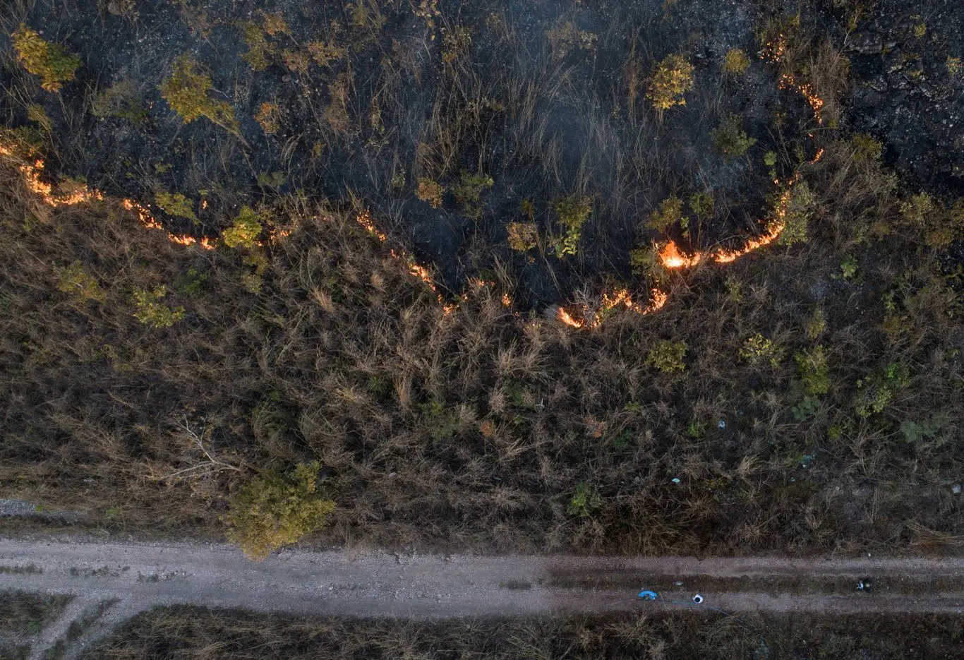 Incêndios na Amazónia: Outubro foi o pior de sempre para o Pantanal brasileiro