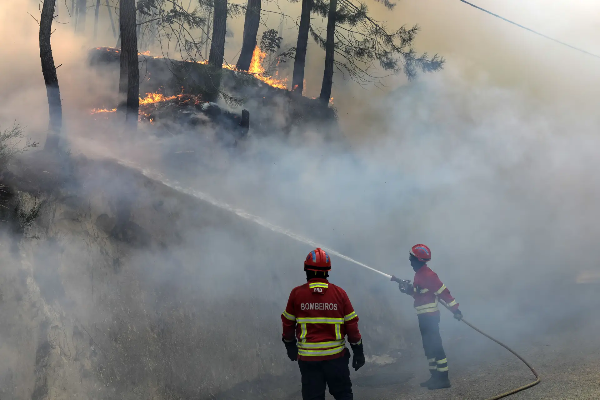 Incêndios em Aveiro obrigam a cortes de trânsito na A1, A25 e A29