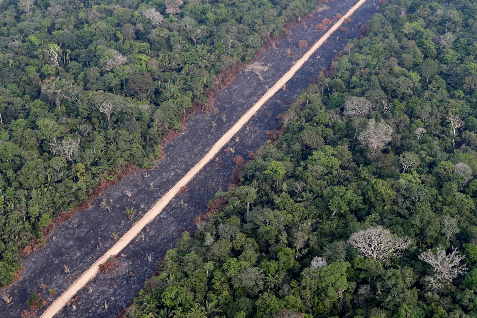 Brasil encurta prazo para alcançar neutralidade carbónica e compromete-se com fim da desflorestação