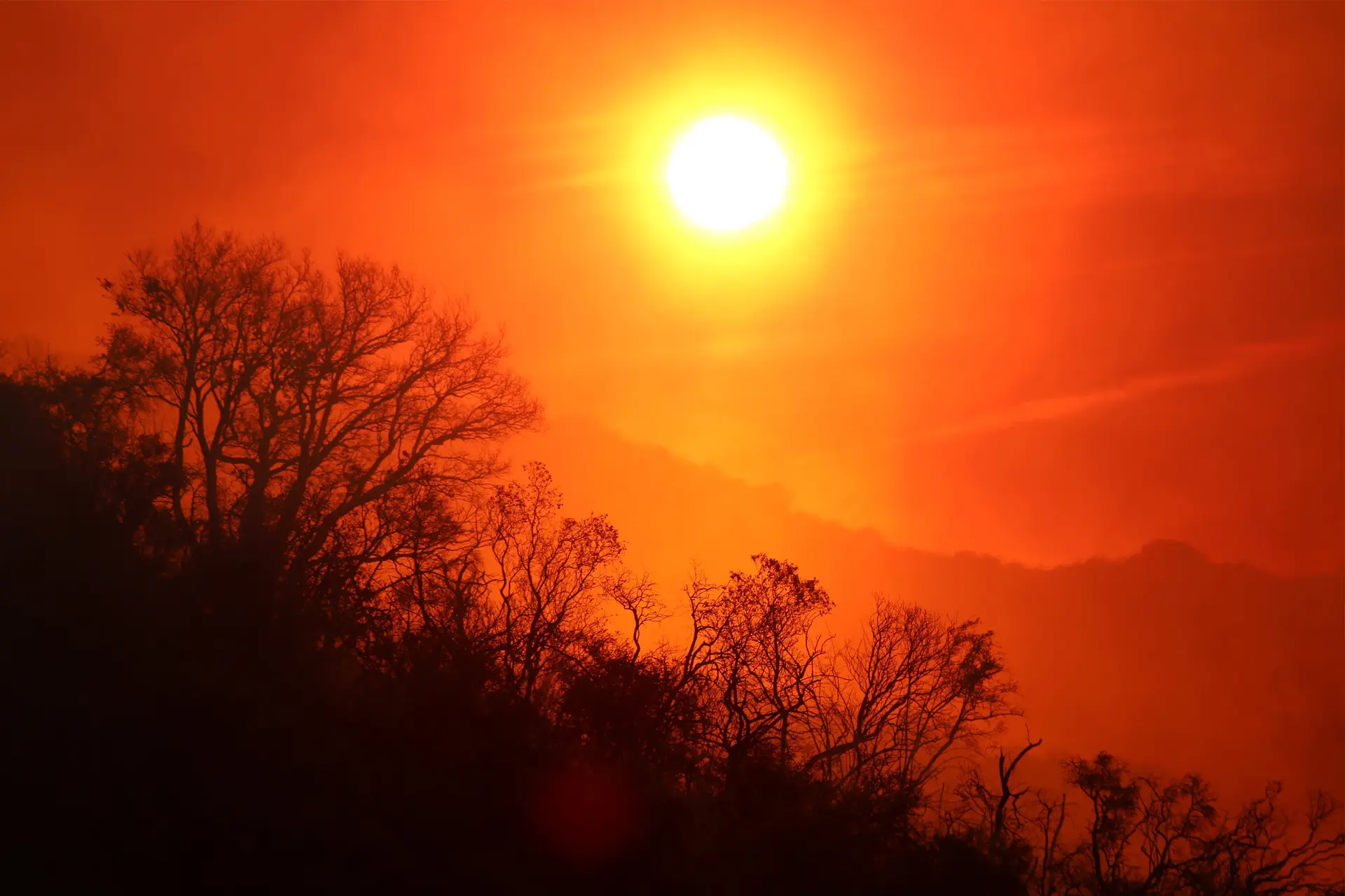 "Risco de morte" no Brasil devido ao calor