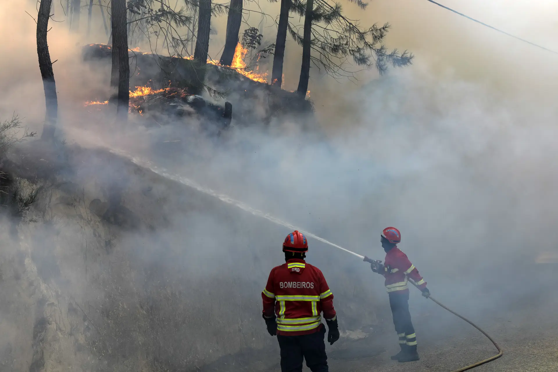 Cinco Concelhos Do Distrito De Faro Em Risco Máximo De Incêndio Sic Notícias 4895