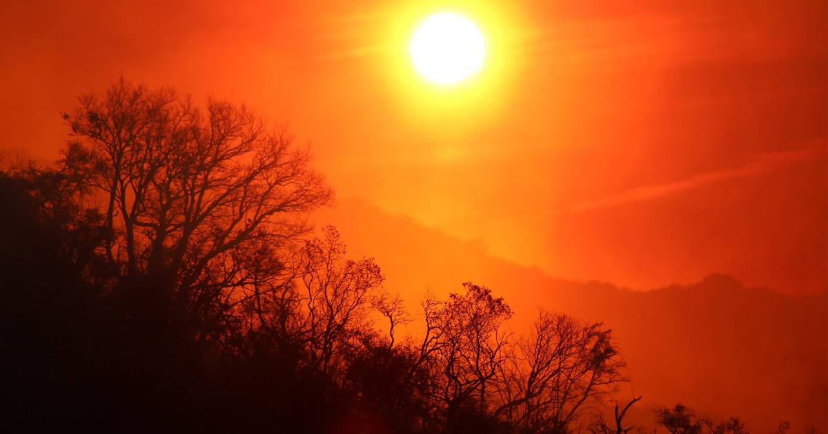 Vários concelhos do continente em perigo de incêndio devido a temperaturas altas