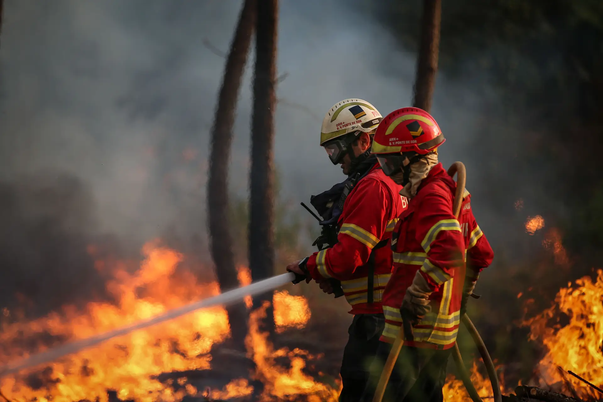 Mais de 100 concelhos em perigo máximo de incêndio