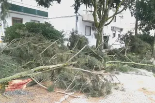 As imagens do ciclone em Beja e Palmela