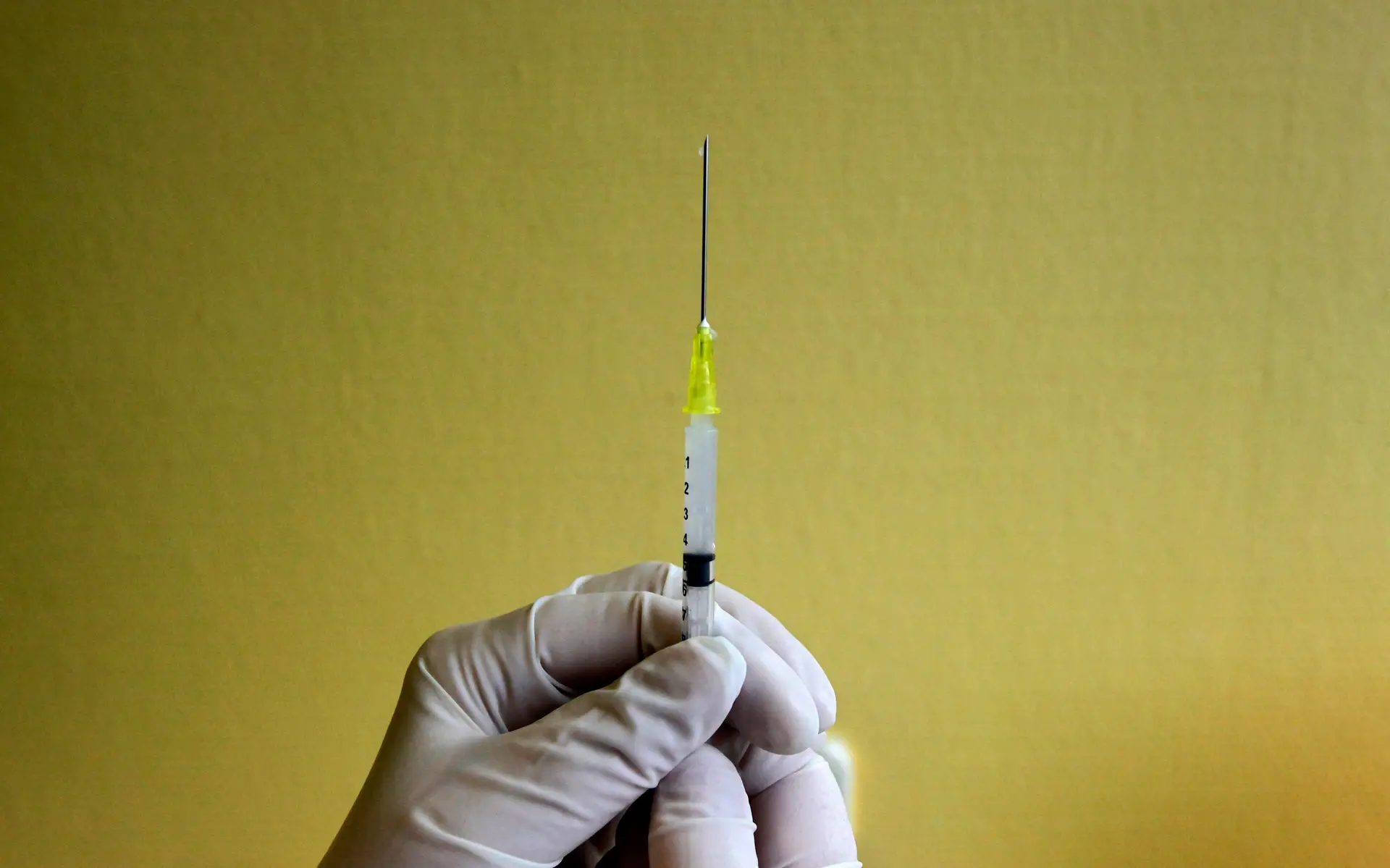 Vacina portuguesa contra a Covid-19. Testes começam em outubro