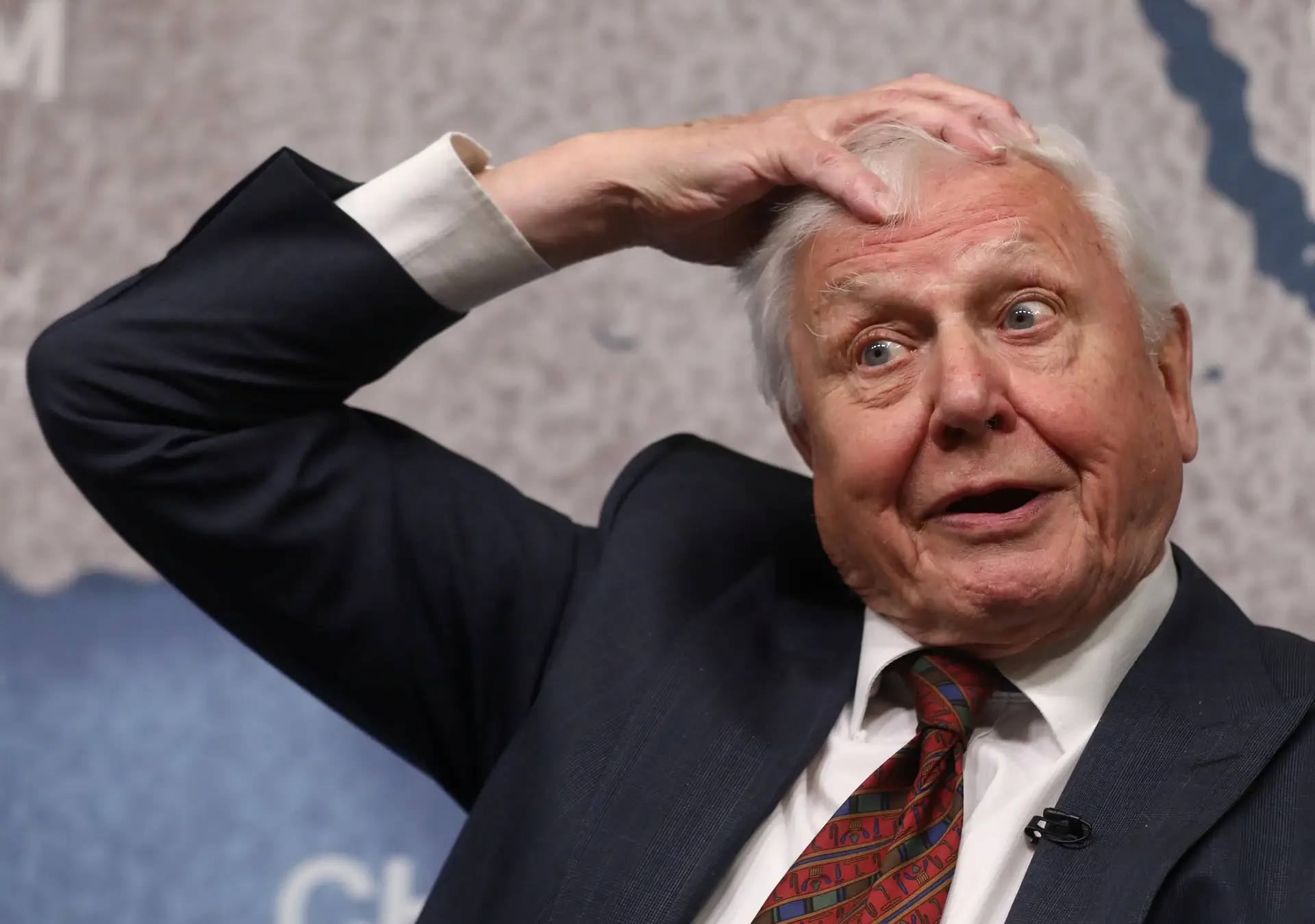 Naturalista David Attenborough entrou hoje no Instagram e já tem 1,7 milhões de seguidores