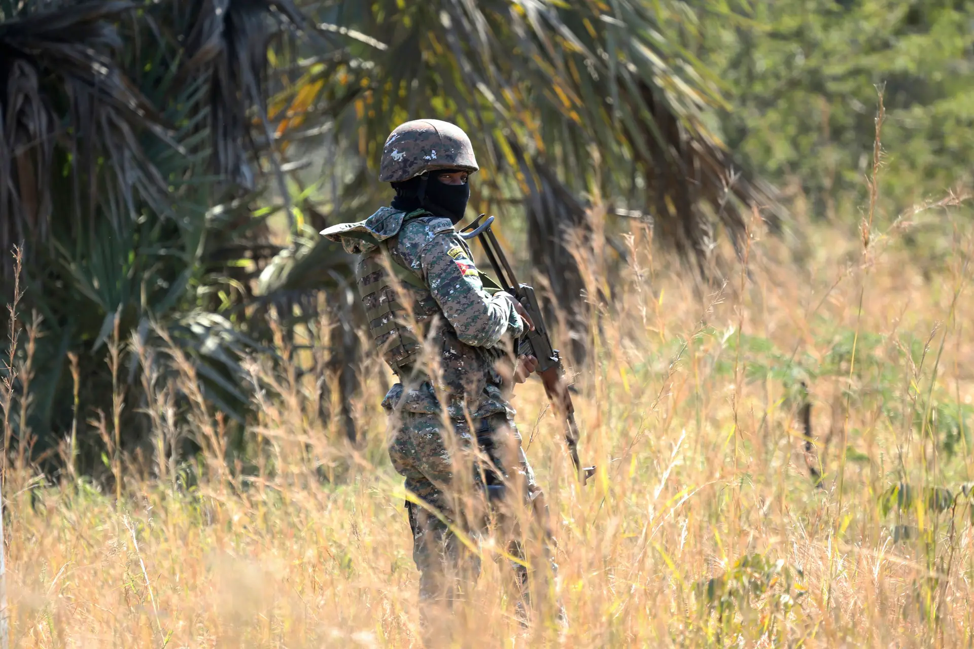 Tanzânia e Moçambique lançam operações conjuntas contra rebeldes que atacam Cabo Delgado