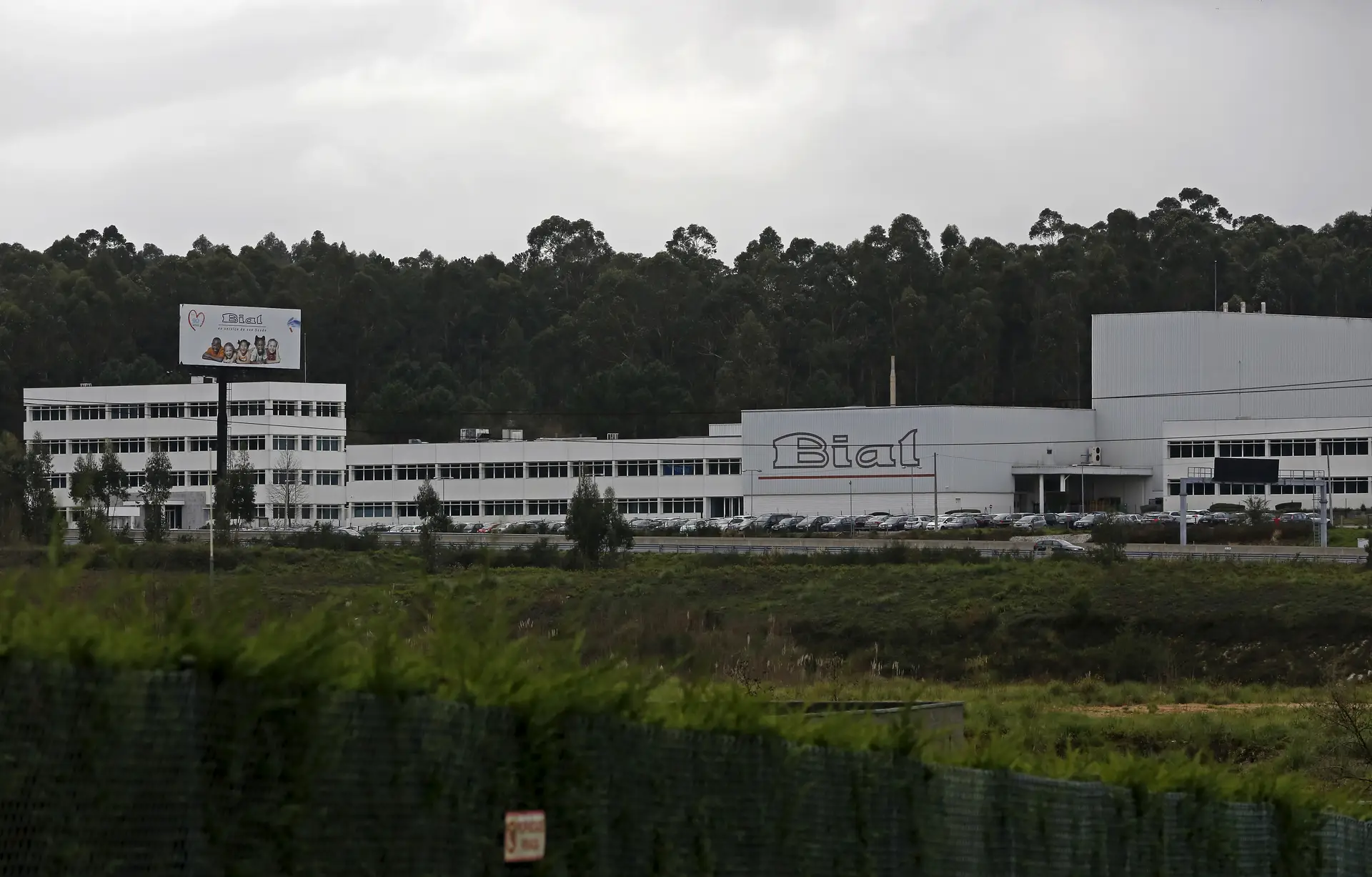 Bial investe 110,7 milhões de euros nos EUA em projetos de investigação na área de Parkinson