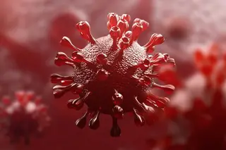"O Invasor": um vírus que passados dez meses ainda surpreende os médicos